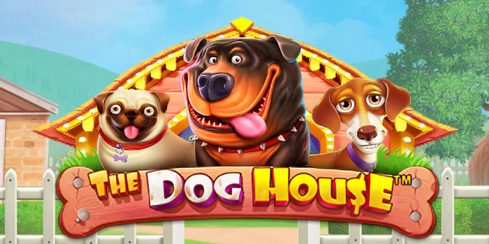 Rahasia Pola Bermain Efektif di Slot The Dog House
